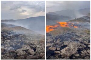 Read more about the article آتش‌سوزی در حاشیه پارک ملی لار با مشارکت محیط‌بانان و جامعه محلی مهار شد