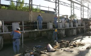 Read more about the article پسماند جزیره خارگ با مدیریت یکپارچه جمع‌آوری و بازیافت می‌شود