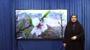 Read more about the article هشدار هواشناسی درباره وزش باد شدید و خیزش گردوغبار در لرستان