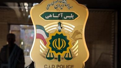 دستگیری ۴ سارق خشن و کشف ۸ فقره سرقت در خراسان شمالی