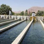 نظام رتبه‌بندی مزارع ماهی لرستان راه‌اندازی می‌شود