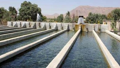 نظام رتبه‌بندی مزارع ماهی لرستان راه‌اندازی می‌شود