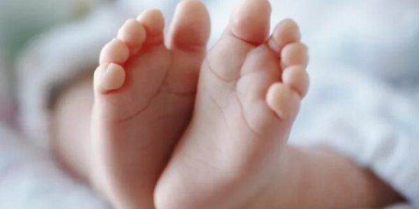 نوآوری در درمان ناباروری مردان با تمرکز بر ویرایش ژنی و بازتوانی اسپرم