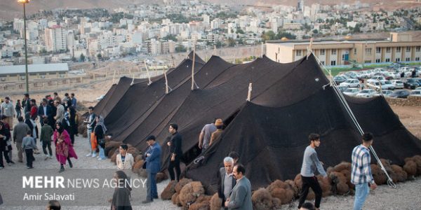 ۶۵۰ اثر هنری در جشنواره حاصَل شرکت داشت