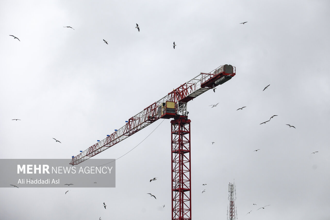 توسعه اقتصادی مناطق آزاد