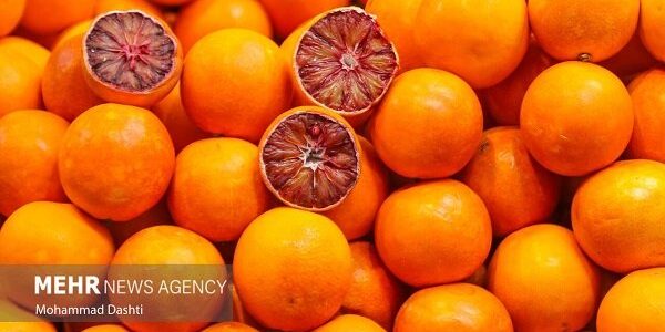 ۶۰ هزار تنی کیوی و مرکبات مازندران به بازارهای جهانی صادر شد